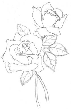 Realistic Rose Drawing Outline - Gallery - Clip Art Library