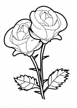Rose Clipart Black And White | Free download best Rose ...