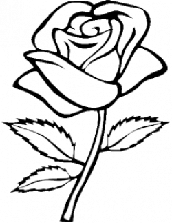 999+ Flower Clipart Black And White [Free Download | Flower ...