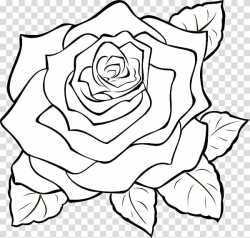 Black rose White , Tribal Bunga Mawar transparent background ...