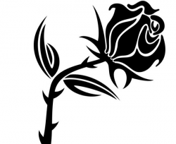 Free Rose Vector, Download Free Clip Art, Free Clip Art on ...