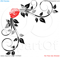 knumathise: Rose Clip Art Black And White Border Images