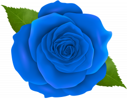 Blue Rose Clipart | Free download best Blue Rose Clipart on ...