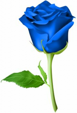 Blue rose clipart » Clipart Station