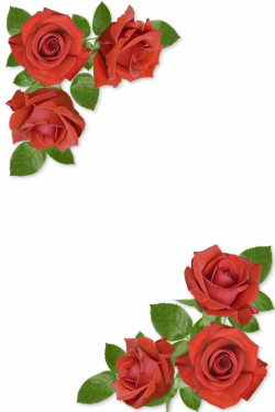 Free Rose Flower Borders, Download Free Clip Art, Free Clip Art on ...