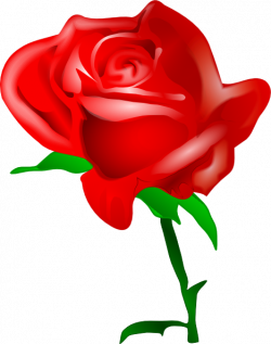 Free Cartoon Roses, Download Free Clip Art, Free Clip Art on Clipart ...