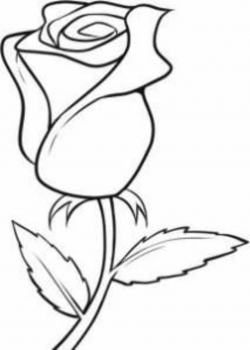 Easy Flowers To Draw - ClipArt Best | art | Rose drawing simple ...