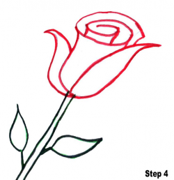 Bring Out the Artist in Them: How to Draw Roses for Kids in 2019 ...