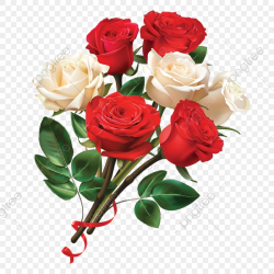 Red And White Rose Flower, Rose Clipart, Flower Clipart, Rose Flower ...
