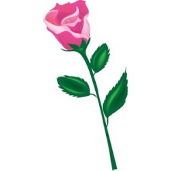 Clipart Long Stem Roses & Free Clip Art Images #9910 - Clipartimage.com