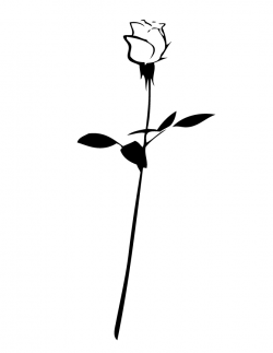 Long Stem Rose Coloring Page | H & M Coloring Pages | Rose | Rose ...