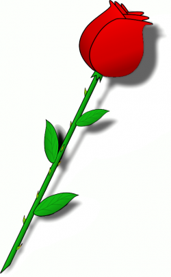 Rose Stem Clipart | Free download best Rose Stem Clipart on ...