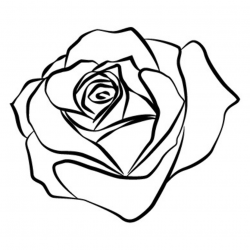 Free Rose Outline, Download Free Clip Art, Free Clip Art on Clipart ...
