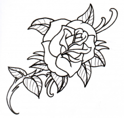Free Rose Outline, Download Free Clip Art, Free Clip Art on Clipart ...