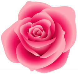 Real Pink Rose Clipart | invitations | Rose clipart, Pink rose png ...