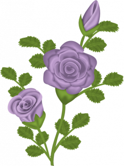 Purple Rose Transparent Clipart | Gallery Yopriceville - High ...