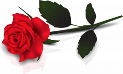 Free Single Rose Cliparts, Download Free Clip Art, Free Clip Art on ...