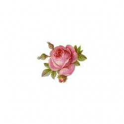 Tiny Rose Clipart & Free Clip Art Images #1787 - Clipartimage.com