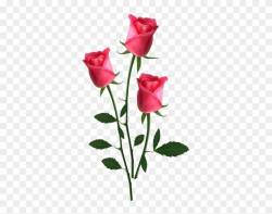 Small rose clipart 2 » Clipart Portal