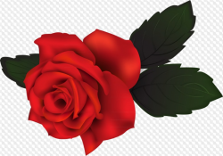 Rose clipart transparent 2 » Clipart Station