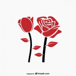 Roses Vectors, Photos and PSD files | Free Download