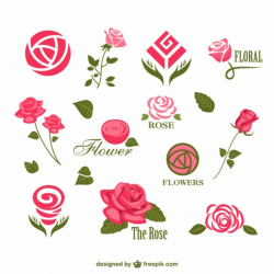 Abstract rose logos Vector | Free Download