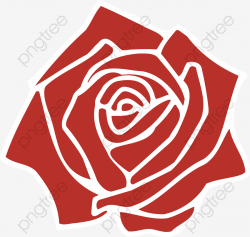 Red Vector Rose, Rose Clipart, Vector Flowers, Champag PNG and ...