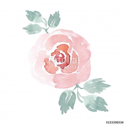 Watercolor handpainted rose clipart. Watercolor flowers. Beautiful ...