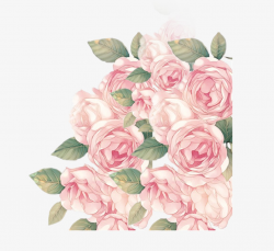 Hand Painted Rose Watercolor Pattern Material, Rose Clipart ...