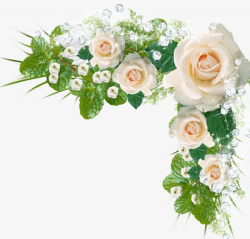 Rose Wedding, Rose Clipart, Wedding Clipart, Rose PNG Transparent ...