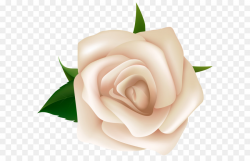 Black And White Flower png download - 6415*5608 - Free Transparent ...