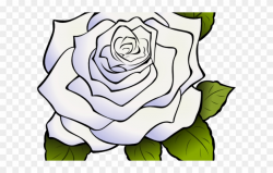 White Rose Clipart Animated - Clipart White Rose Transparent ...