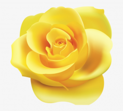 Png Roses - Yellow Rose Clipart Png Transparent PNG - 800x763 - Free ...