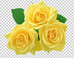 Flower Yellow Rose PNG, Clipart, Clip Art, Cut Flowers, Desktop ...