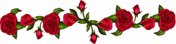 Rose roses transparent GIF - Find on GIFER