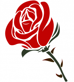 Animated rose png » PNG Image