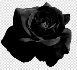 Rose Black And White clipart - White, Black, Rose ...
