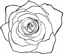 Hand-Drawn Rose Rubber Stamp