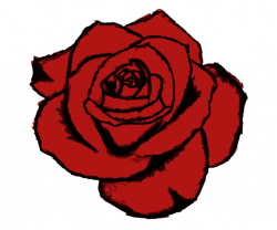 Drawn rose png 1 » PNG Image