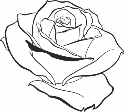 Elegant Drawn Rose Rubber Stamp