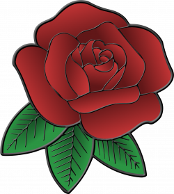 Clipart Library Flower - Roses Drawing Transparent ...