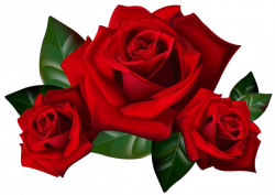 Download Gothic Rose Transparent PNG - Free Transparent PNG ...