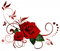 Rose Vine PNG HD Transparent Rose Vine HD.PNG Images. | PlusPNG