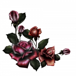 Gothic Rose PNG Pic | PNG Mart