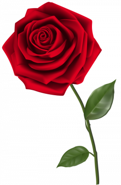 Download ROSE Free PNG transparent image and clipart