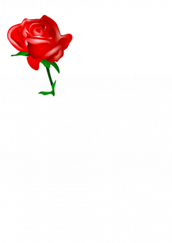 Rose | Free Stock Photo | Illustration of a red rose | # 10713