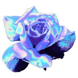 transparent vaporwave | Tumblr