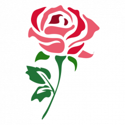 Beautiful red rose icon - Transparent PNG & SVG vector