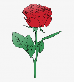 Single Red Rose Vector - Rose Flower Vector Png Transparent ...