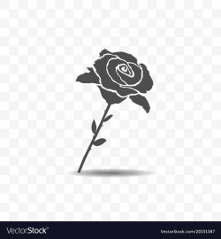 Rose icon isolated on transparent background
